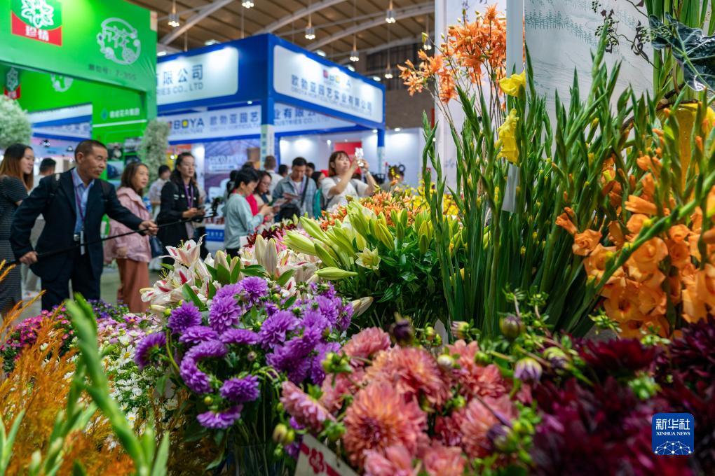 白菜折扣网